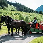 Trattlerhof 4* Бад-Кляйнкірхгайм