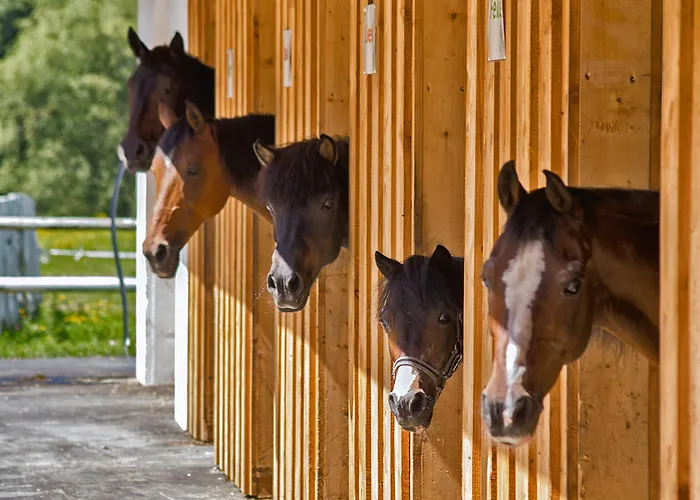 Готель Trattlerhof 4*